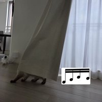 カーテンの下から見えている猫の足と、その隣に並べられた16分音符の画像