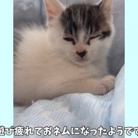 テロップ「遊び疲れて～」