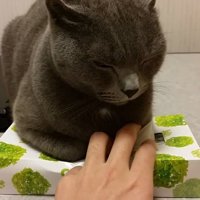 ティッシュを取ろうとする手