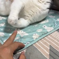見切れた姿