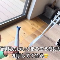 テロップ「面倒見のいい～」