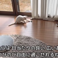 テロップ「これからは日当たりの良い～」