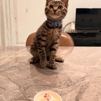 ケーキでお祝い