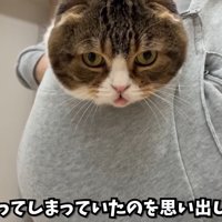 ぽこ太郎くんのアップ