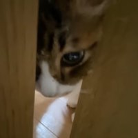 ドアの隙間