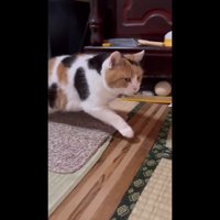 立ち上がる姿