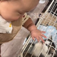 嬉しそうな赤ちゃんと猫