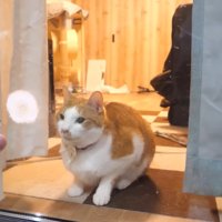 座り込むチップくん