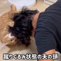 けりぐるみ状態
