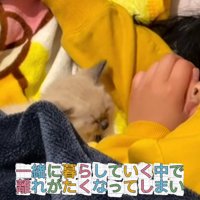 子猫の寝顔