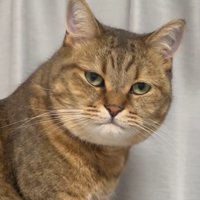 ムッとした顔のドアップ
