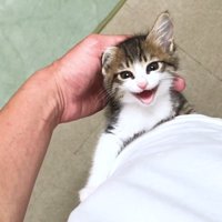 笑ってるような表情