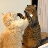 ふたり向き合っている写真