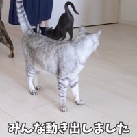 みんな動き出しました