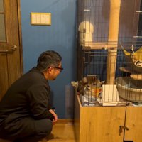 子猫を覗き込む男性