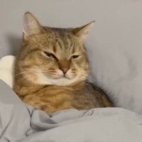 目を細めた顔のアップ