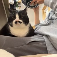 膝の上