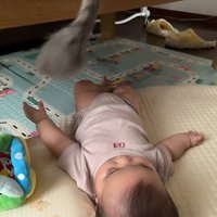 尾を垂らす猫