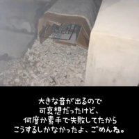 置かれた捕獲器