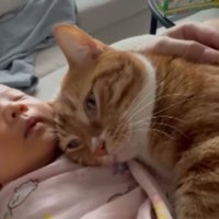 猫と赤ちゃん