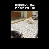 前足を広げて右ひねり