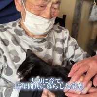 おばあちゃんと猫