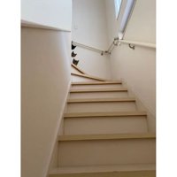 階段にいる猫たち