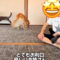 鼻で起こしてあげる犬