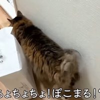 ちょちょちょ！