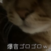「爆音ゴロゴロｗ」のテロップ写真