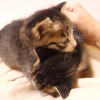 密着するふたり