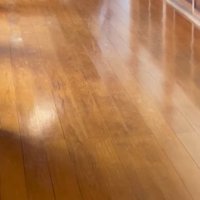 長い廊下と奥に走る猫