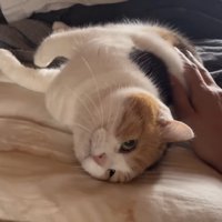 背中をなでなで