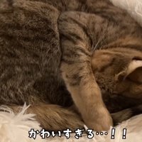 かわいすぎる…！！