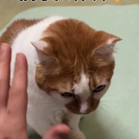 手を目の前に掲げる