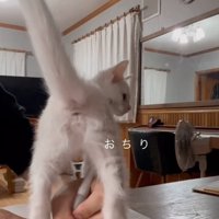 見せつけ
