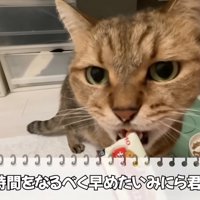 オヤツをたべる
