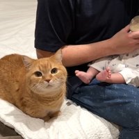 こちらを向いた姿