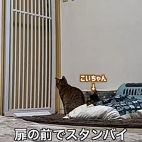 テロップ「扉の前で～」