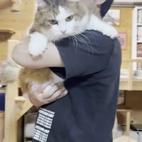 抱っこ