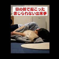 猫吸い