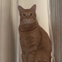 「あれ？」と書かれた写真