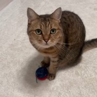 見上げるみにらくん