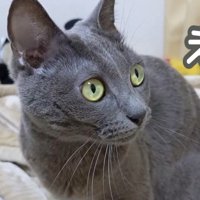 「え」と書かれた写真