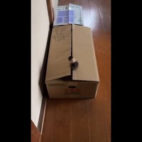 はみ出たしっぽ