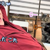 テロップ「どうすんだ これ」