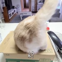 ん？