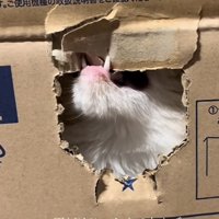 「下だけじゃなくて...」のテロップ写真