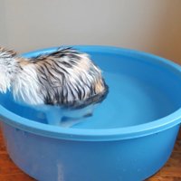 お湯に浸かって