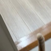飼い主の足元を駆けて行く猫